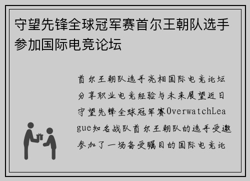 守望先锋全球冠军赛首尔王朝队选手参加国际电竞论坛